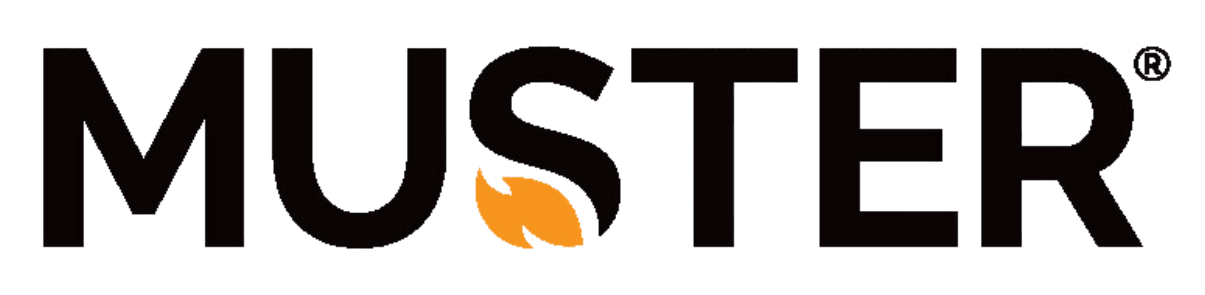 intecs & Muster
