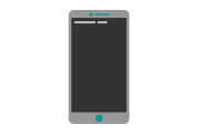 Delivery Verification intecs